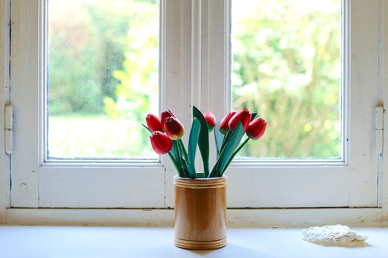 red tulips on clear glass jar, HD wallpaper