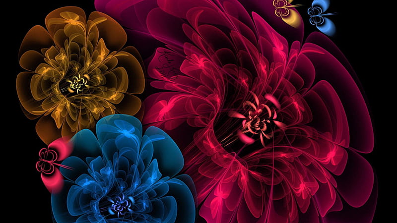 Flowers Veil Dark Background Abstract, HD wallpaper