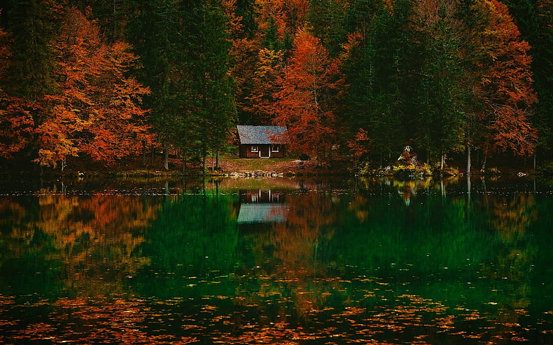 Tranquilidad, bosque, naturaleza, cabaña, lago, Fondo de pantalla HD |  Peakpx