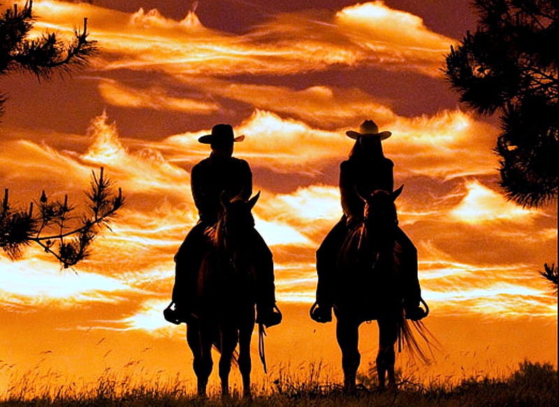 Cowboy and Cowgirl Silhouette, Trees, Orange Glow, Cowgirl, Riding, bonito, Cowboy, Horses, Sunset, HD wallpaper