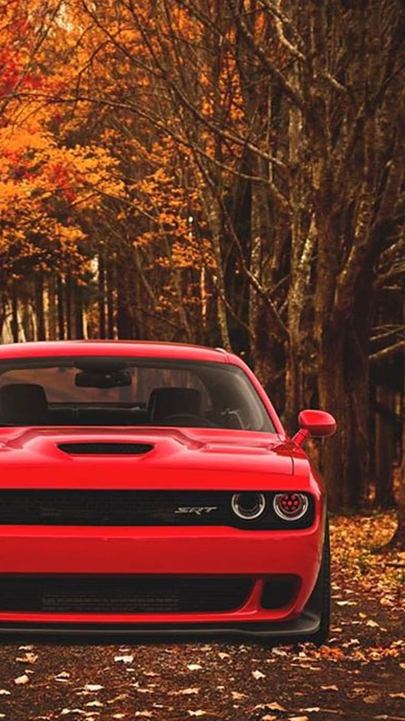 Dodge Srt, autumn, car, red, road, HD phone wallpaper