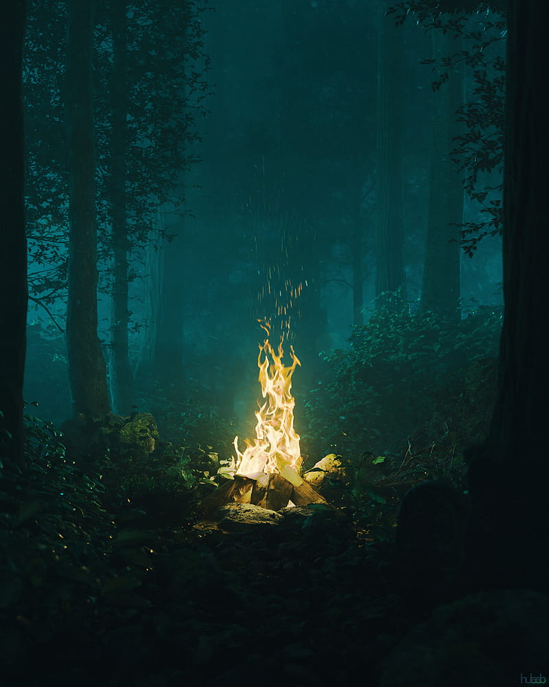 forest, bonfire, fire, light, dark, HD phone wallpaper