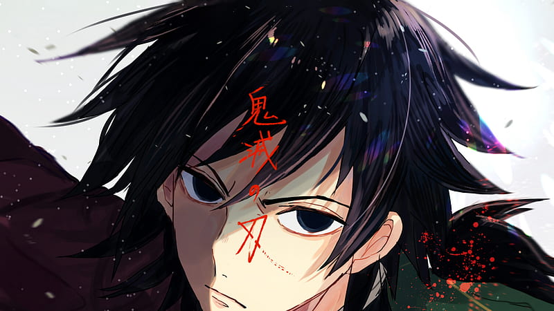 Demon Slayer Giyuu Tomioka With Black Hair With White Background Anime, HD wallpaper