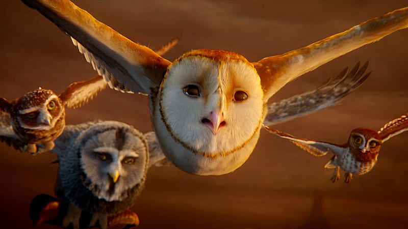 Legend of the Guardians-The Owls of GaHoole movie 02, HD wallpaper