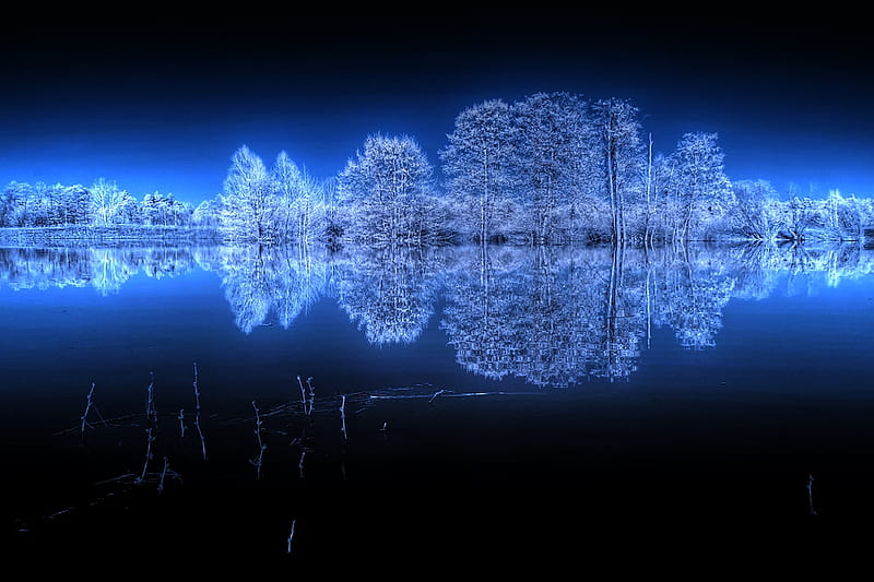 Bluetastic, dark, infrared, midnight, r, bonito, reflections, enhanced, blue, HD wallpaper