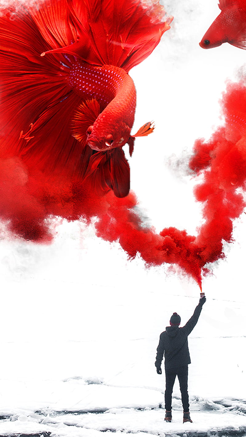 Red Smoke, Abstract, Animals, Anxo, Colorful, Colors, Fish, Human, Red, Red  tone, HD phone wallpaper | Peakpx