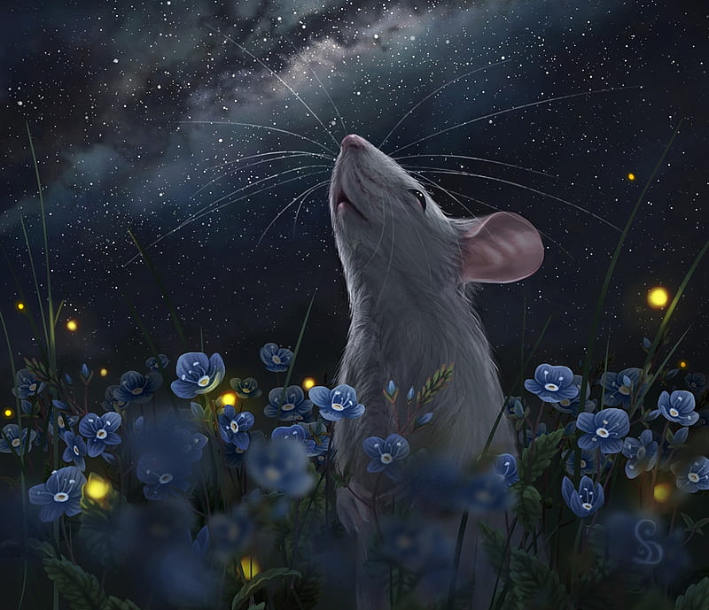 2020 ~ Year of the rat, fantasy, luminos, year of the rat, mouse, flower, love or death, night, stars, soricel, blue, HD wallpaper