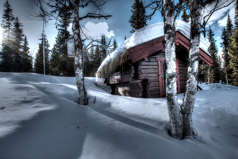 Winter Cabin, snow, shadows, birches, trees, loghut, HD wallpaper