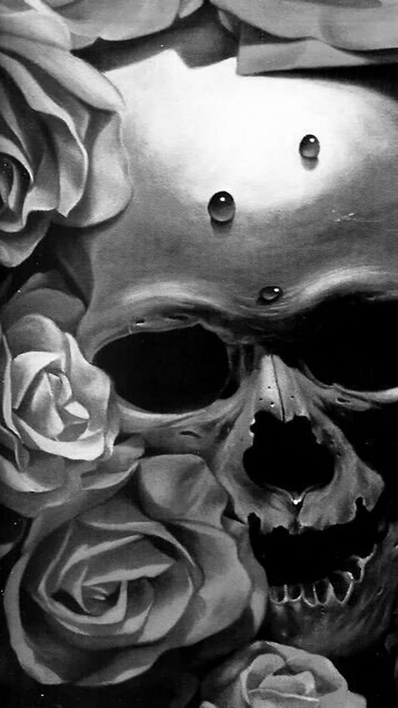 skulls, lls, sku, HD phone wallpaper