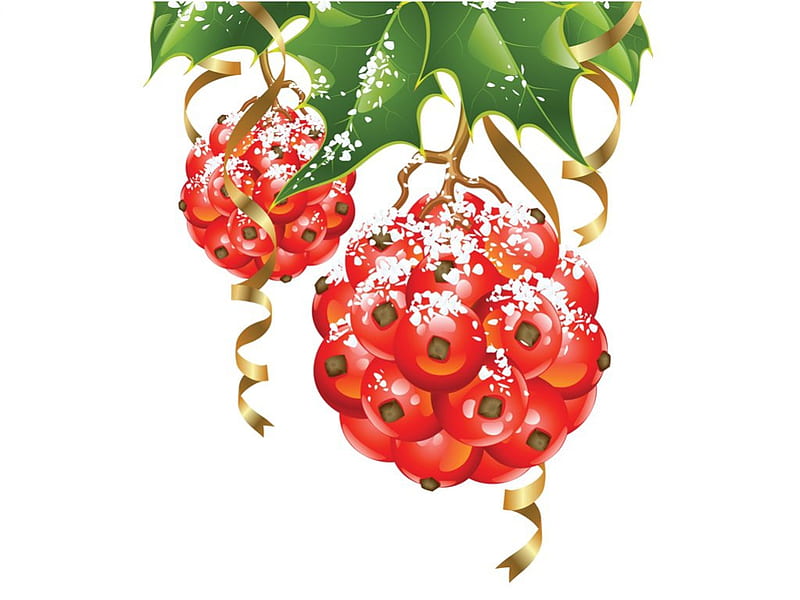 Christmas berries, nature, christmas, garnish, ashberry, HD wallpaper