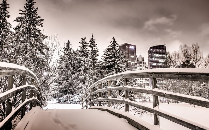 *** Winter in Calgary ***, calgary, nature, snow, winter, HD wallpaper