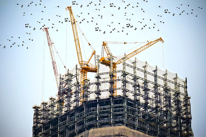 low angle graphy of cranes on top of building, HD wallpaper