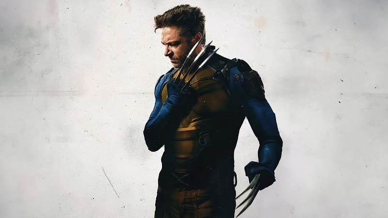 Wolverine Vigilant Path, wolverine, superheroes, artwork, digital-art, HD wallpaper