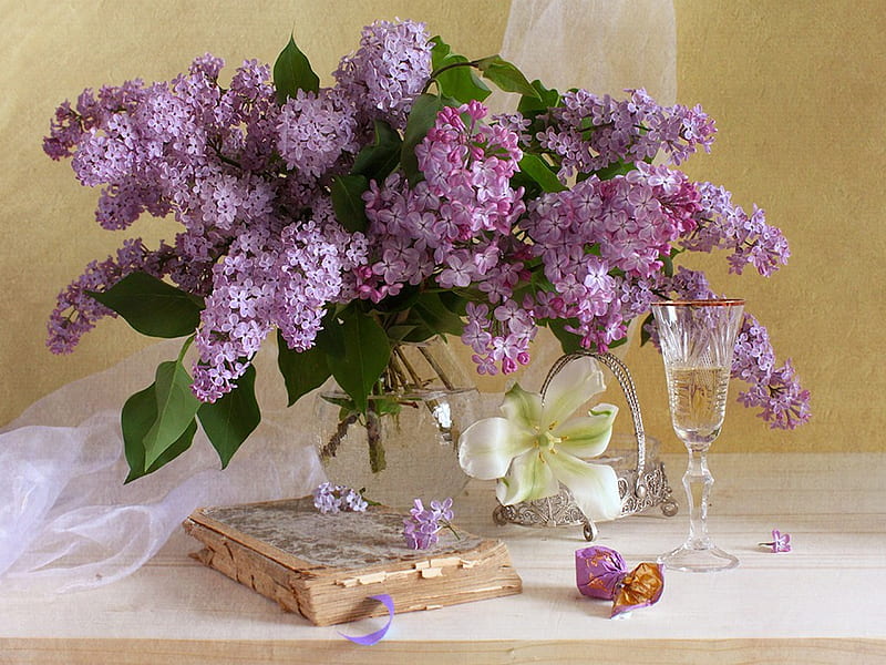 Still Life, with love, lilac, pretty, colorful, book, vase, bonito, graphy, flowers, beauty, for you, lovely, colors, spring, lilacs, glass, bouquet, nature, petals, HD wallpaper