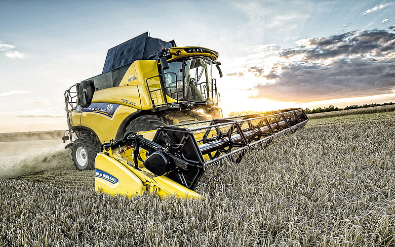 New Holland Cr8-80, combine harvester, harvesting concepts, wheat field, sunset, wheat harvest, New Holland, HD wallpaper