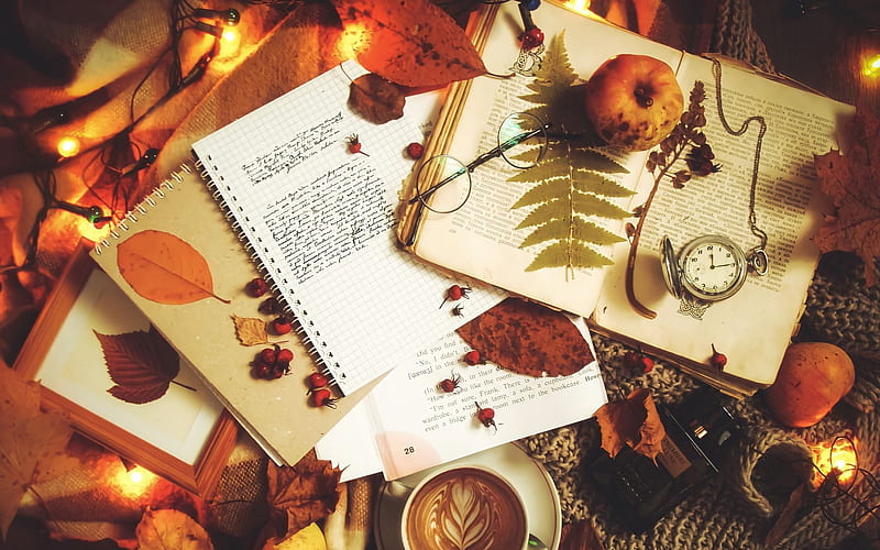 Coffee Notebook Autumn Autumn, Notebook, Coffee, HD wallpaper