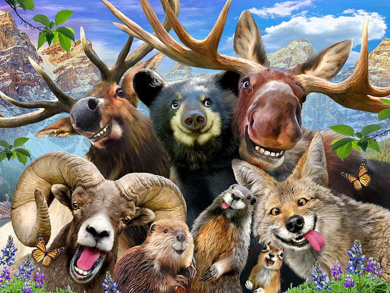 Rocky Mountain Selfie, mousse, luminos, bear, selfie, tongue, animal, horns, fantasy, funny, wolf, HD wallpaper