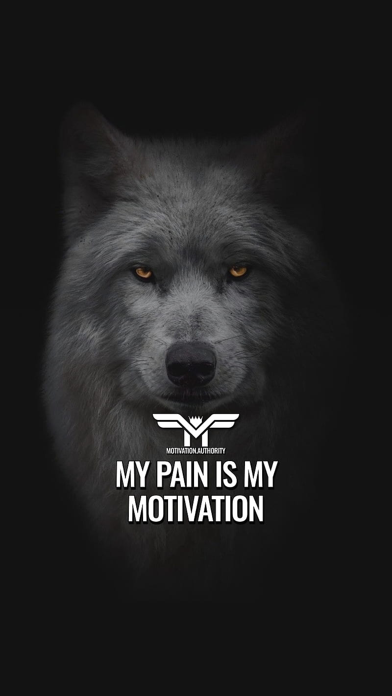 MotivationalQuote, motivation, motivationaquotes, quotes, success, wolf, HD phone wallpaper