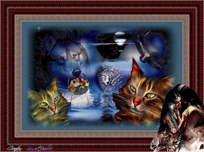 LOVE, couleur, wolf, cat, 2012, HD wallpaper