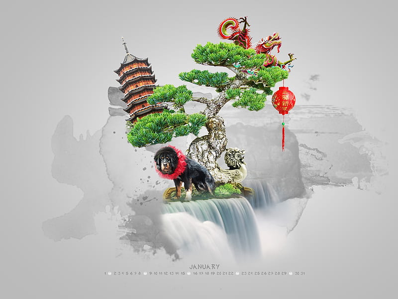 bonsai-January 2012 calendar themes, HD wallpaper