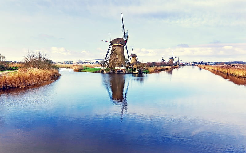 Dutch windmill-Small fresh landscape, HD wallpaper