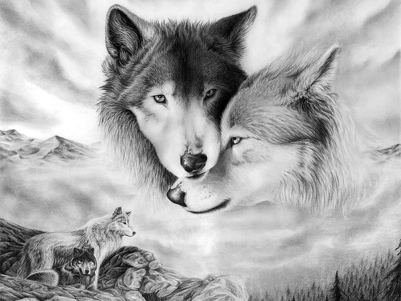 Par de lobos, dos, dibujo, blanco y negro, lobos, pareja, Fondo de pantalla  HD | Peakpx