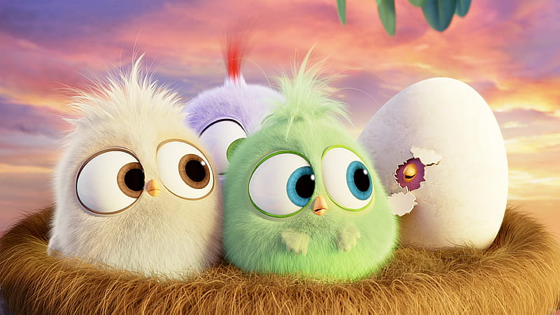Angry Birds (2016), poster, cute, egg, movie, chicken, angry birds, hatchlings, HD wallpaper