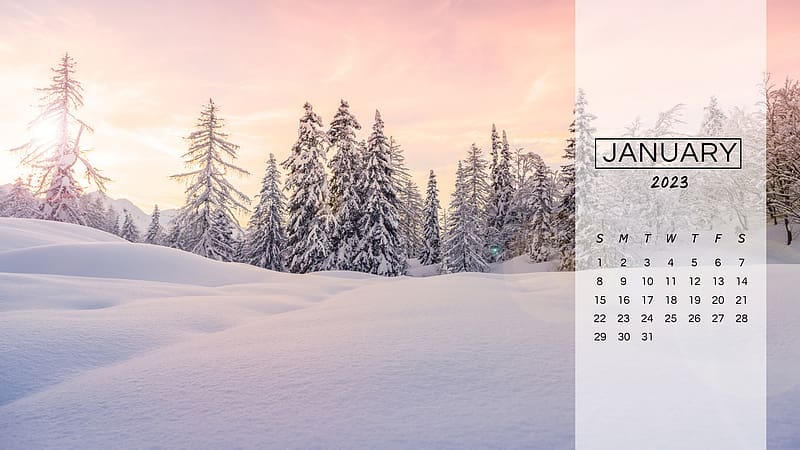 Free download January 2023 Desktop Wallpaper Calendar CalendarLabs  6000x3750 for your Desktop Mobile  Tablet  Explore 51 Cute Wallpapers  2023 