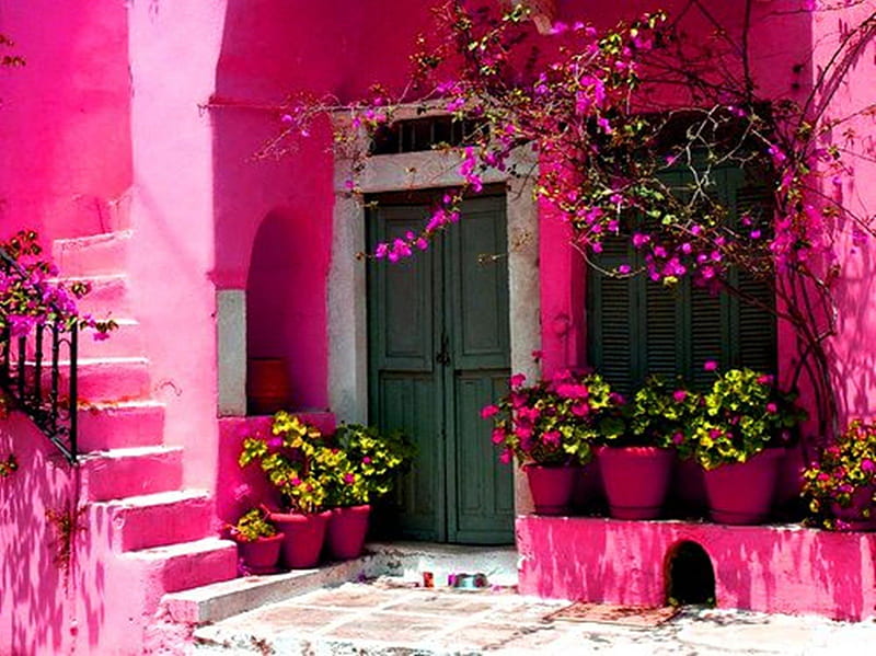Mexico, arquitectura, flores, rosa, casas, Fondo de pantalla HD | Peakpx