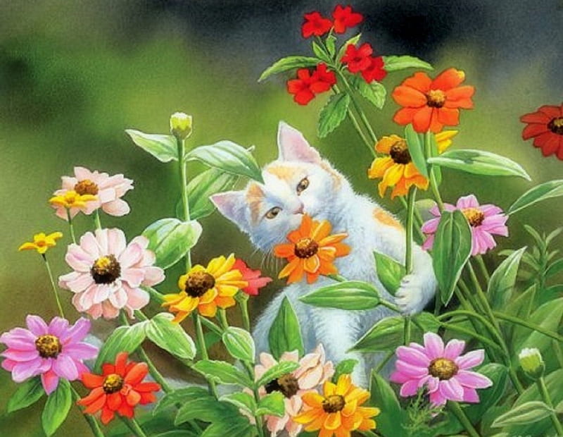 Summer Perfect Time, love four seasons, paintings, summer, flowers, garden, nature, lovely flowers, cats, animals, HD wallpaper