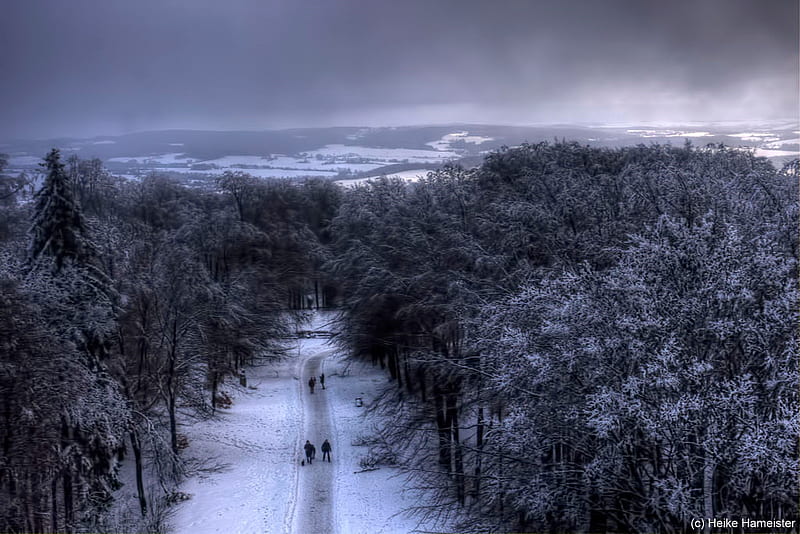 A Winter Jaunt, cloudy, snow, people, walking, trees, winter, HD wallpaper