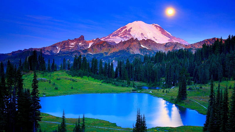 Hidden lake under moonlight, mountain, forest, moon, grass, reflection ...