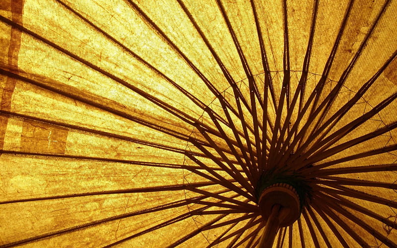 Umbrella, close-up, texture, yellow, chinese, HD wallpaper