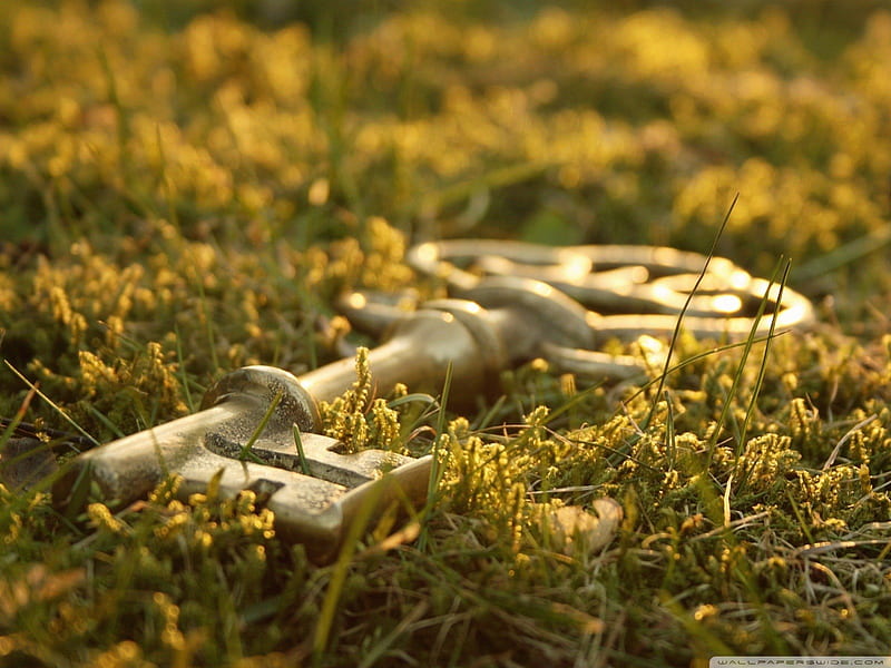 MEMORIES LEFT IN THE GRASS, grass, golden key, memories, old things, gold, close up, green, friendship, macro, love, lost, HD wallpaper