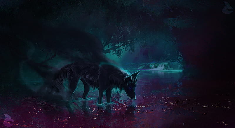 Darkened, water, lup, black, wolf, pink, blue, animal, luminos, nikkalya, fantasy, HD wallpaper