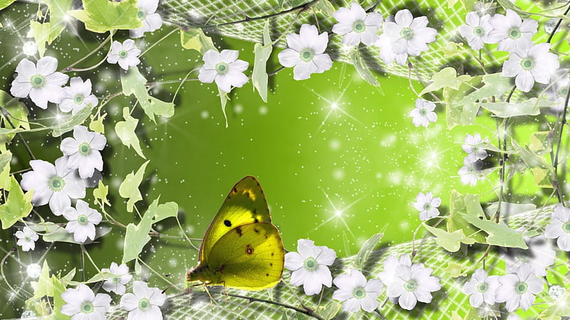 White Flowers Green Background, stars, shine, spring, charteuse, nianza, sparkle, green yellow, butterfly, green, summer, avacado, pistachio, HD wallpaper