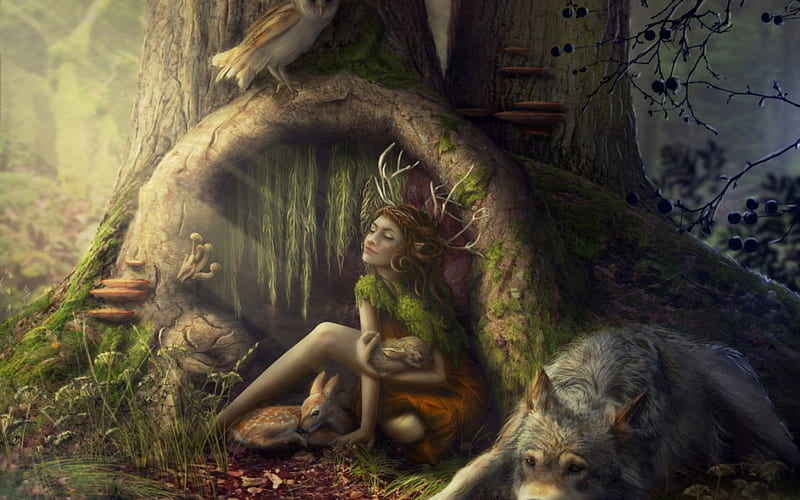 Fawn, owl, forest, rabbit, deer, animal, horns, tree, fantasy, girl, green, bird, wolf, creature, wood, HD wallpaper