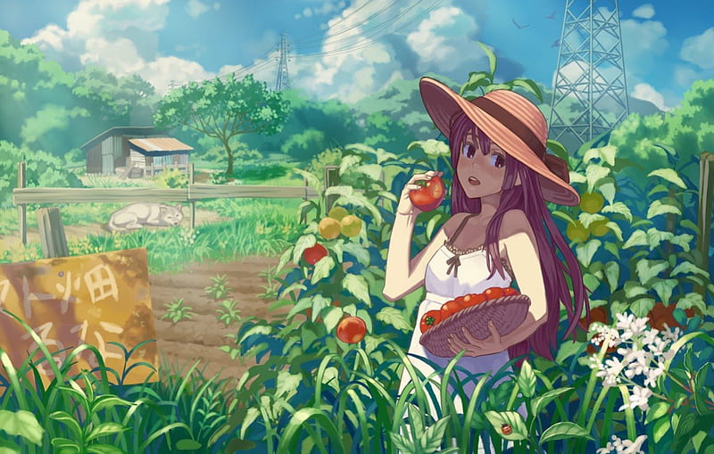 Beauty Farmer - Japan Anime Wallpapers and Images - Desktop Nexus Groups-demhanvico.com.vn
