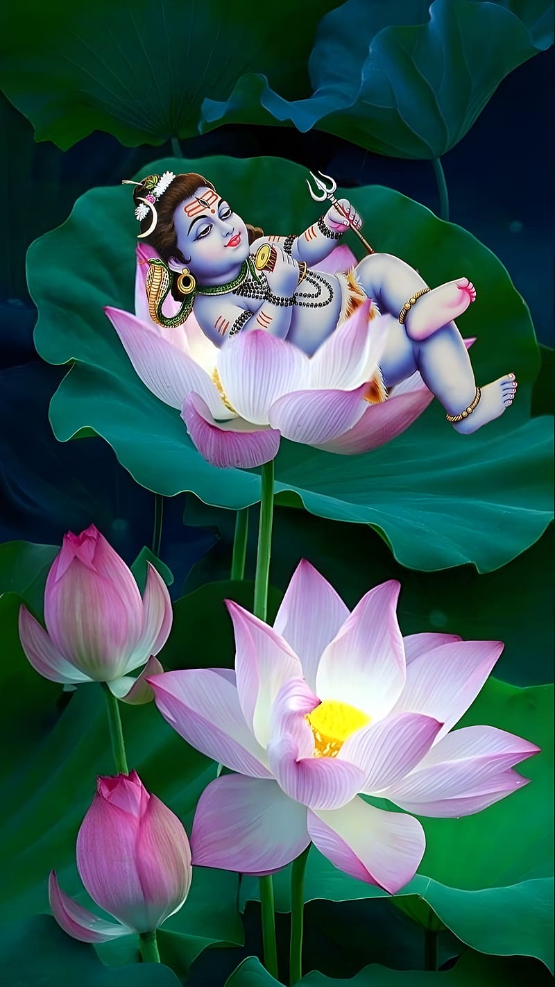 Lord Shiva Pics , Sleeping On Lotus, lord, god, mahadev, HD phone wallpaper