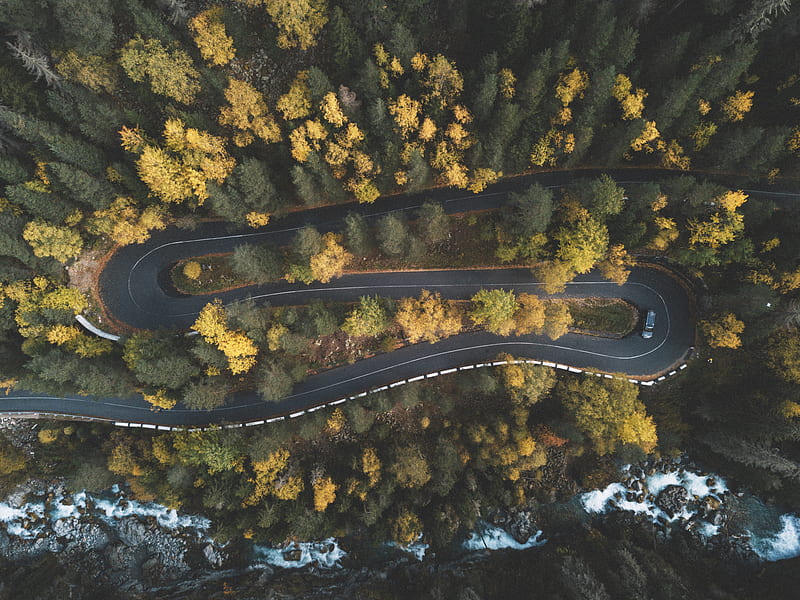 Top View of Curved Road Surrounded by Trees, HD wallpaper