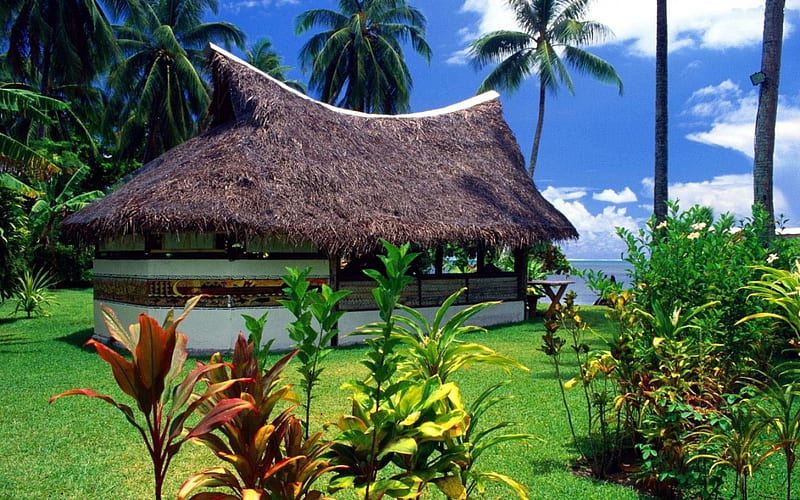 Beach Bar, hotel, plants, summer, tropical, palms, HD wallpaper