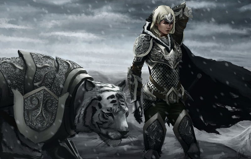 Knight Ang Tiger, tiger, woman, knight, armour, HD wallpaper | Peakpx