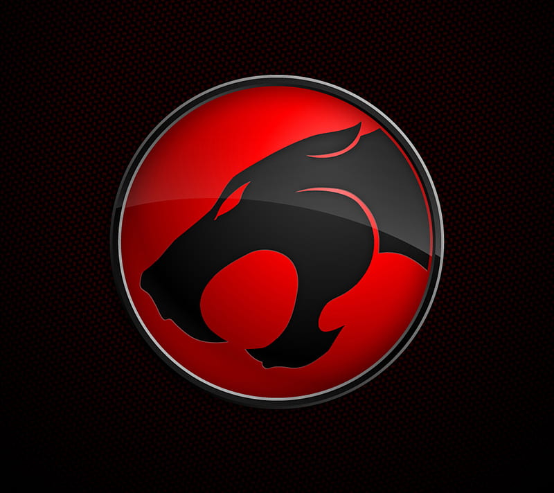 Thundercats, logo, HD wallpaper | Peakpx