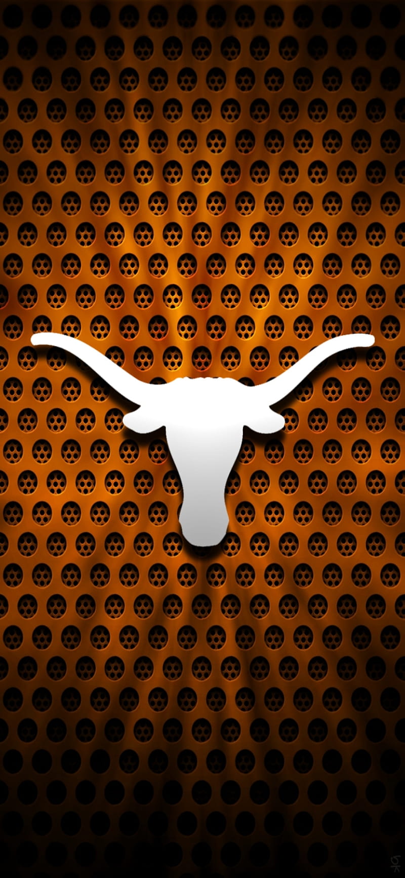 Texas longhorn for android HD wallpapers  Pxfuel
