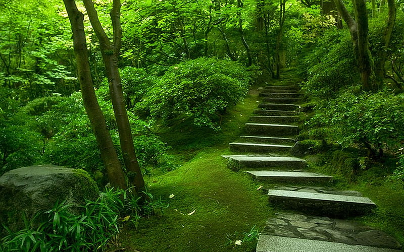 Stairway to Heaven., tree, stair, green, rock, step, garden, HD wallpaper