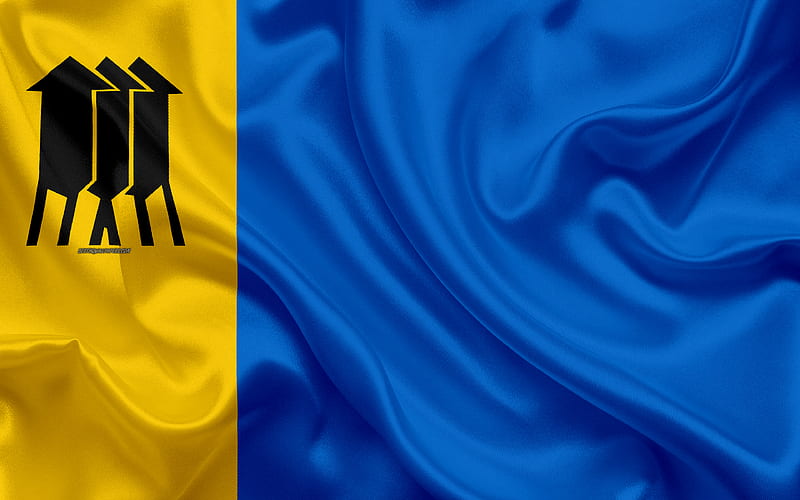 Flag of Porto Velho silk texture, Brazilian city, yellow blue silk flag, Porto Velho flag, Rondonia, Brazil, art, South America, Porto Velho, HD wallpaper