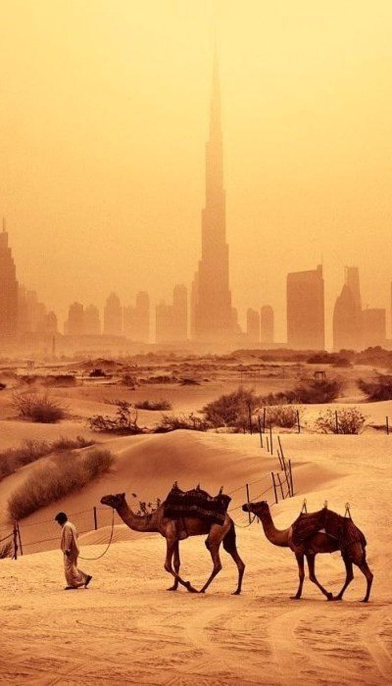 Dubai Burj Khalifa, burj, camel, desert, dubai, khalifa, middleeast, sahara, sand, uae, wild, HD phone wallpaper