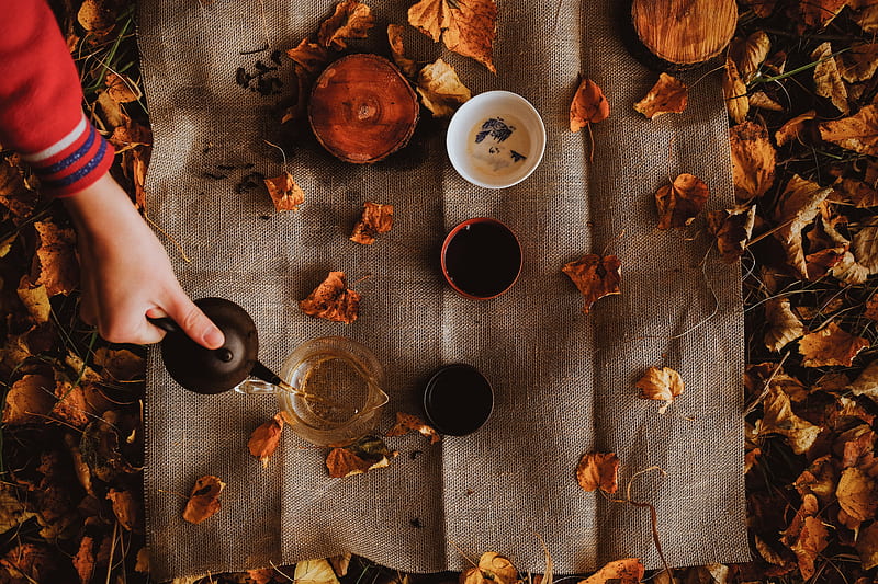 tea, kettle, autumn, hand, picnic, HD wallpaper