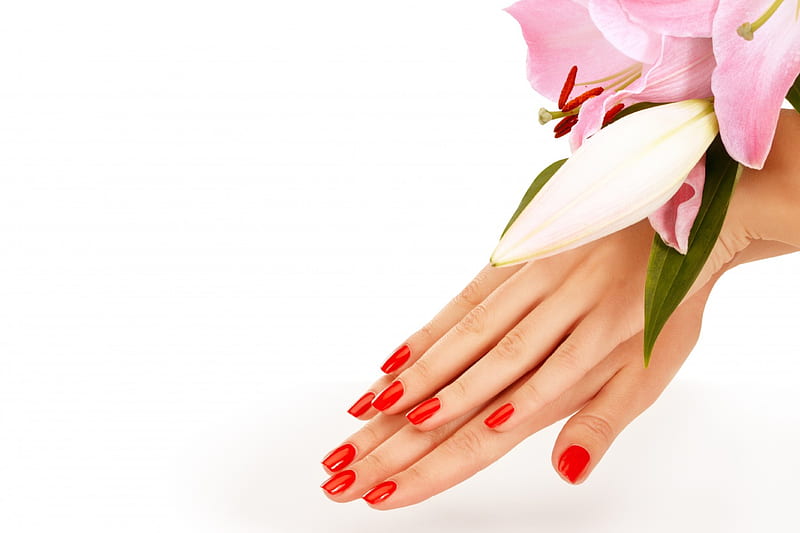 Manicure, hands, flowers, lilies, fingernails, HD wallpaper