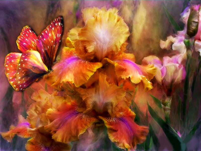 Farfalla, painting, flowers, nature, butterfly, HD wallpaper